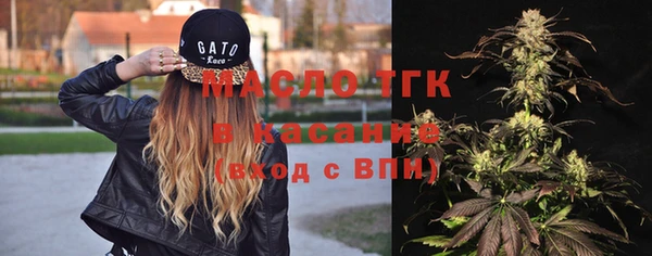 гашик Алексеевка
