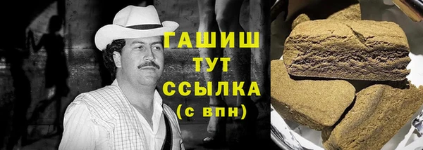 гашик Алексеевка